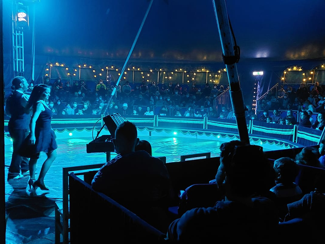 Circo Peppino Medini