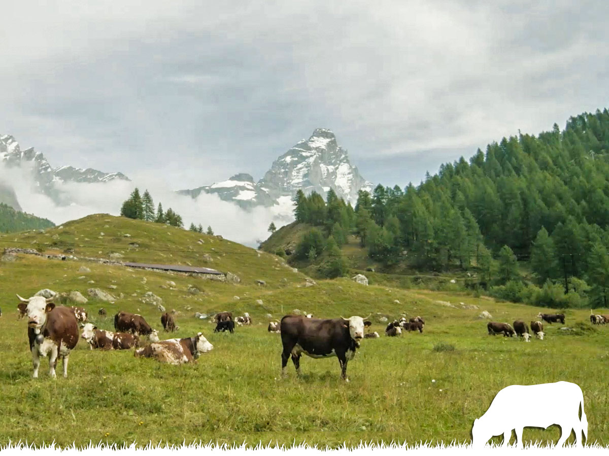 La montagna