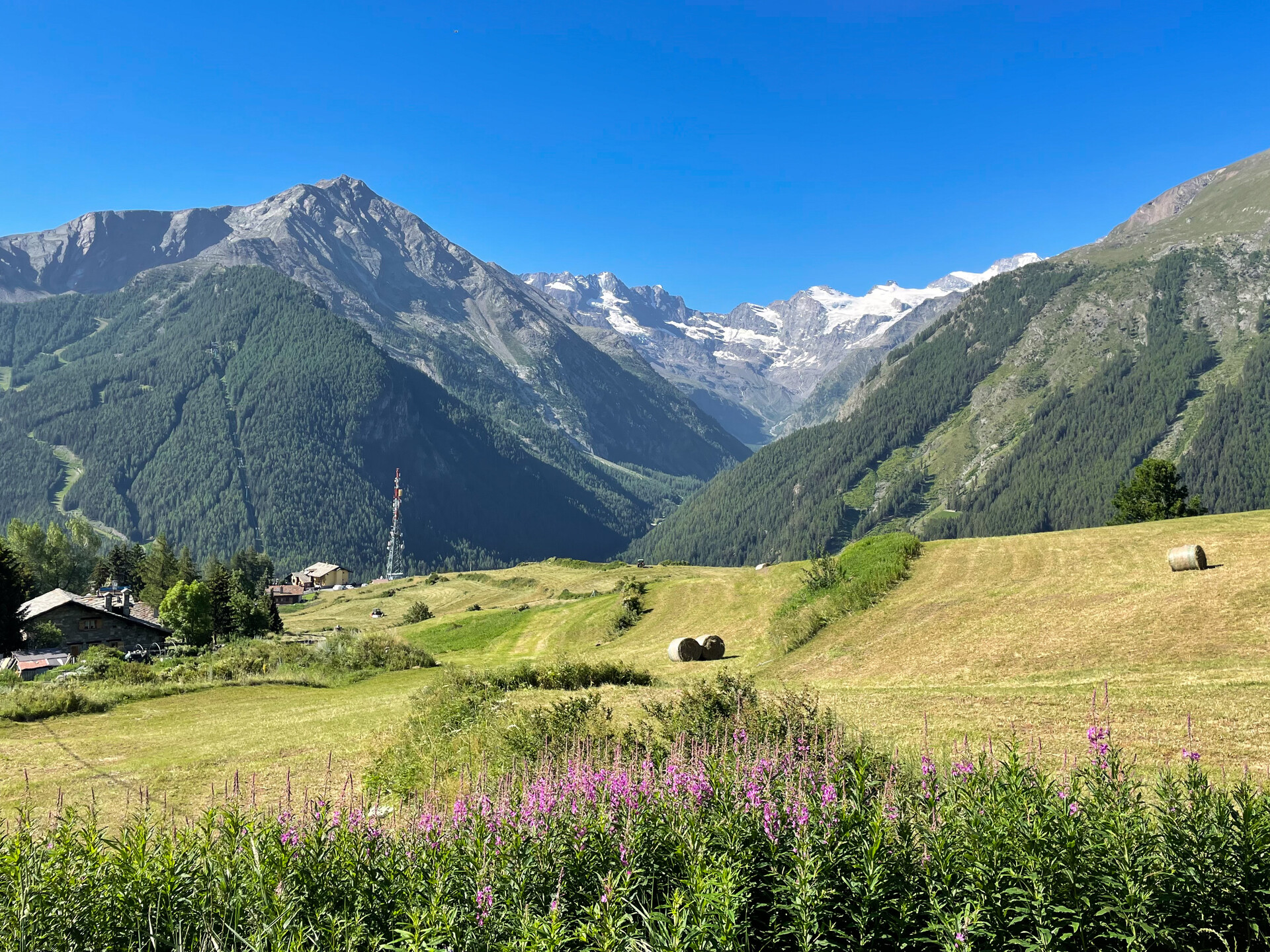 Cogne