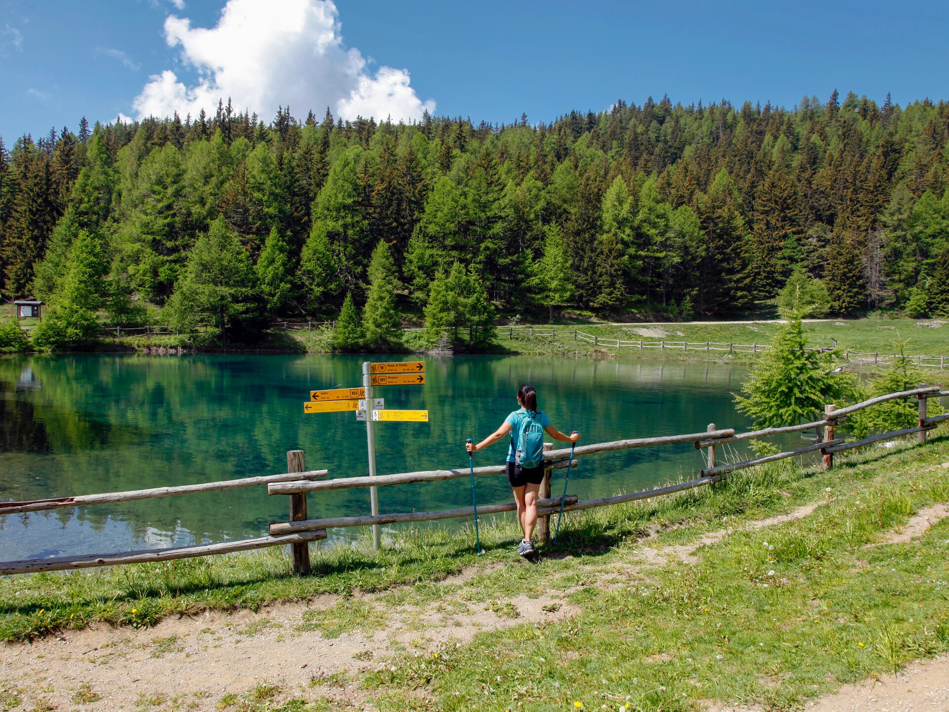 Lago di Joux 