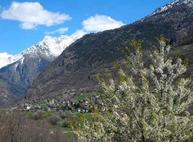 Panorama di Roisan