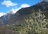 Panorama di Roisan