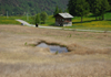 Riserva naturale Stagno di Loson