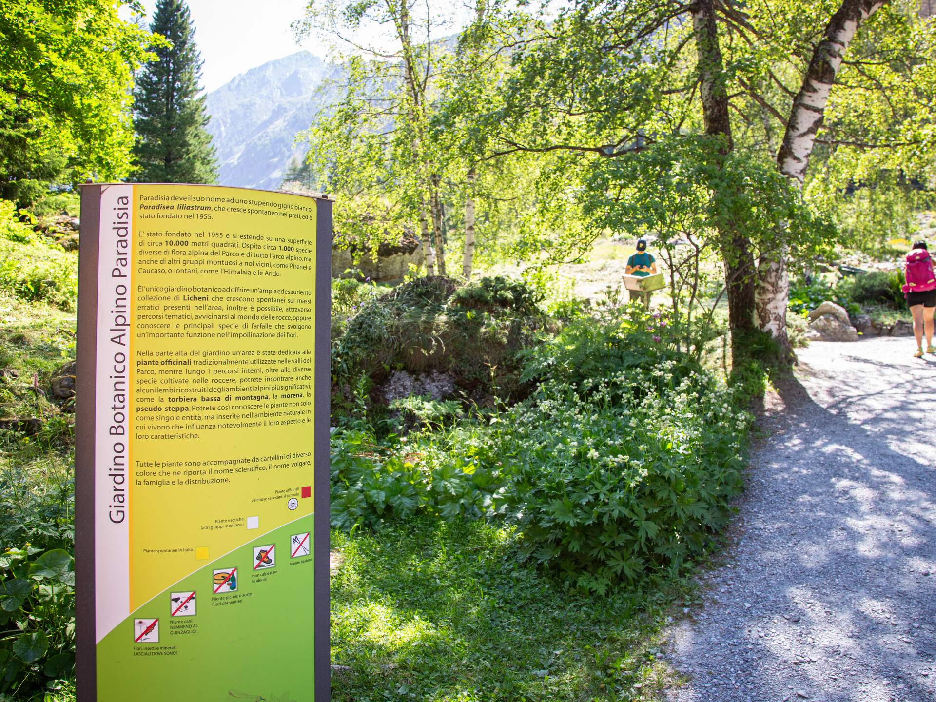 Giardino botanico alpino Paradisia