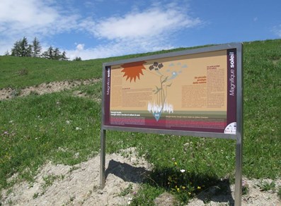 
La Magdeleine-Chamois - energie in gioco