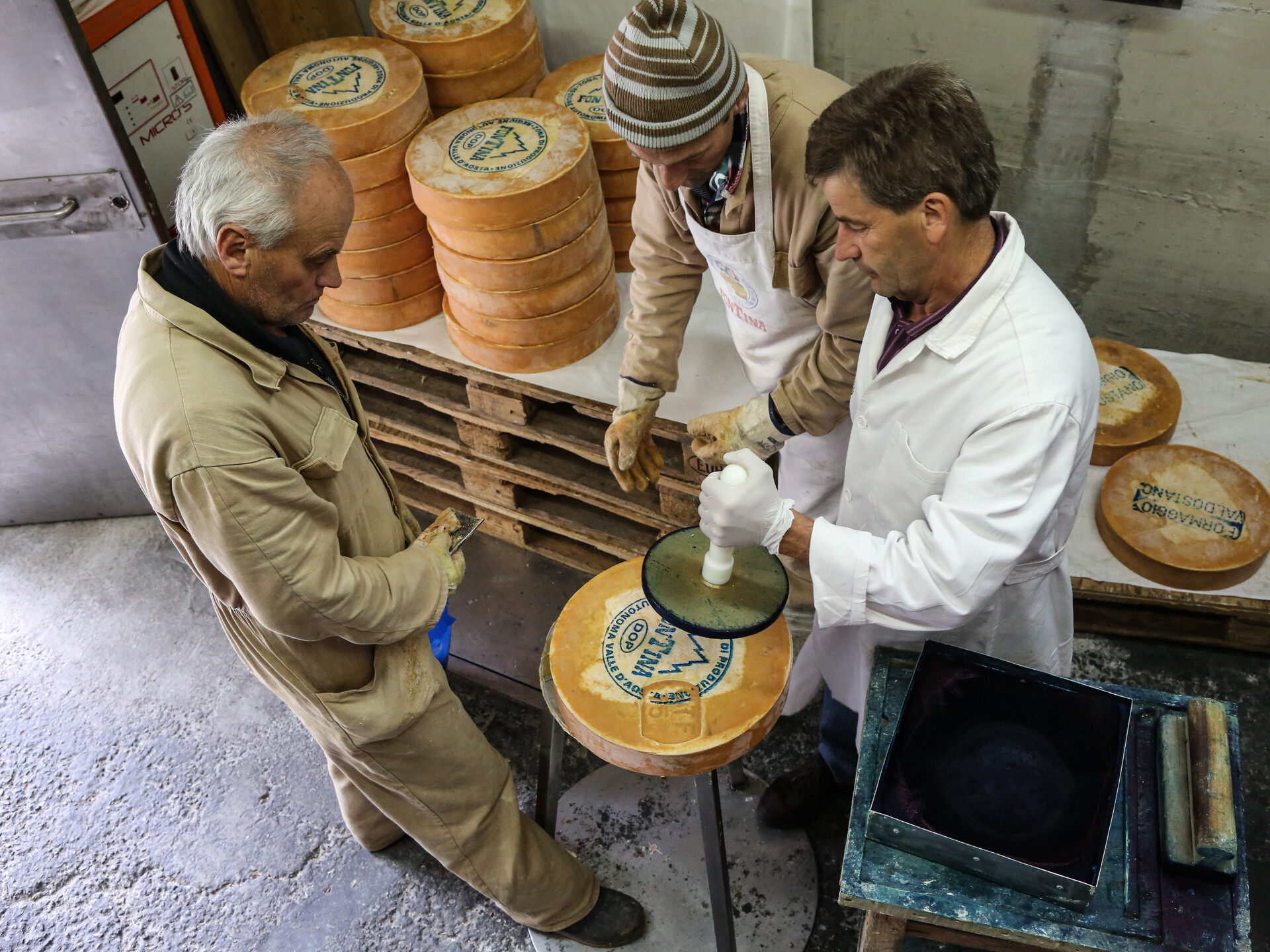 Branding of cheese wheels