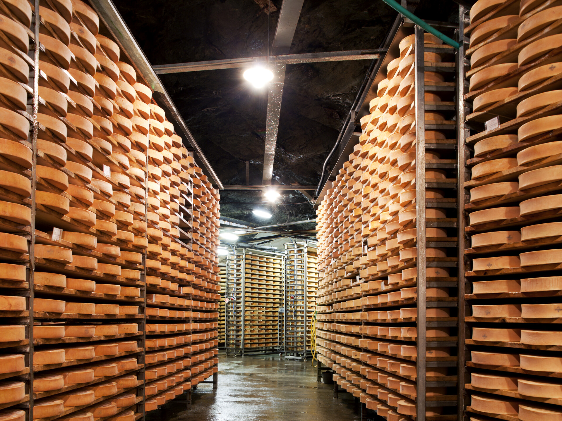 cheese maturation