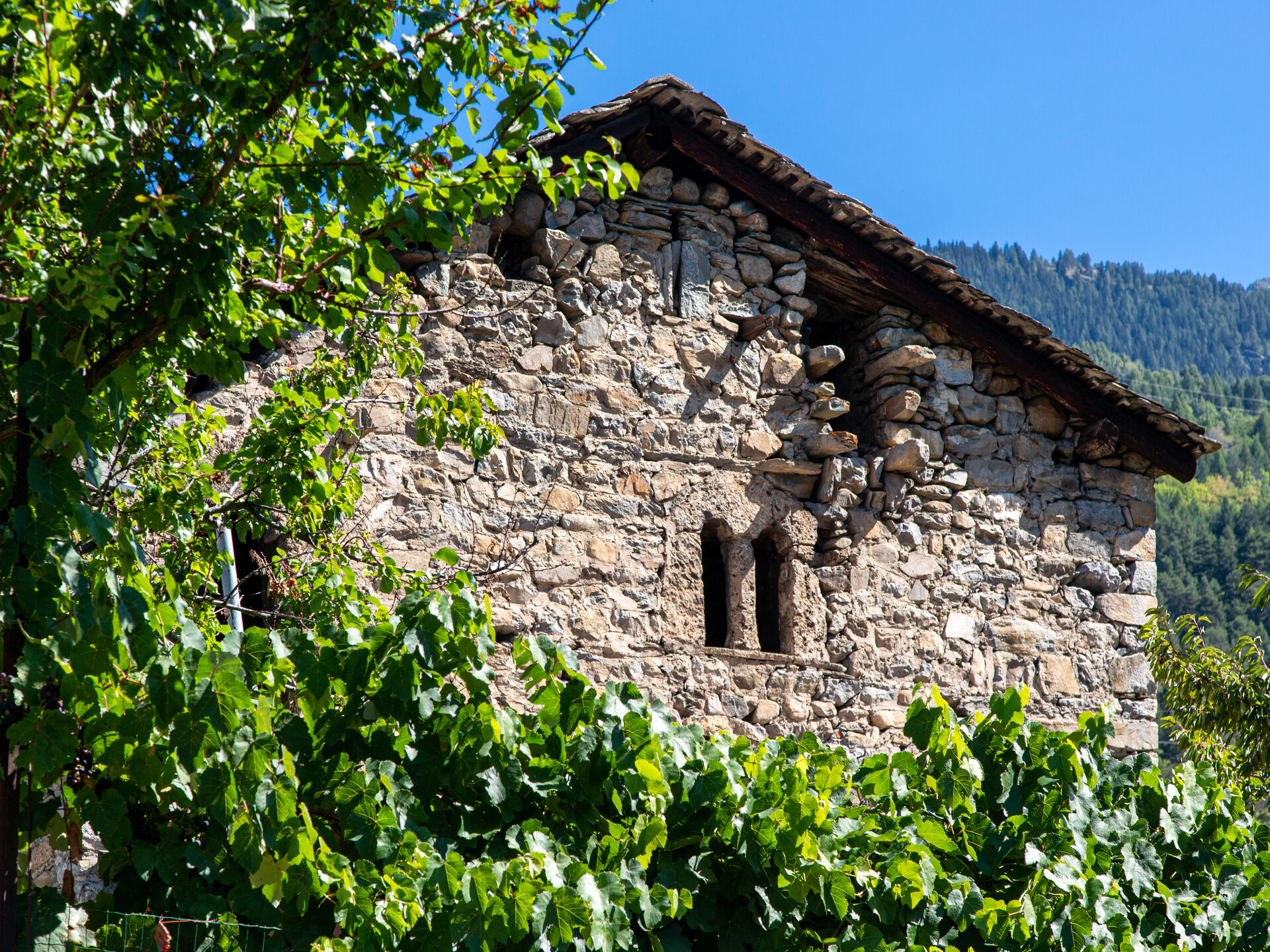 Maison forte Bozel