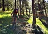 Arpy cross-country slopes