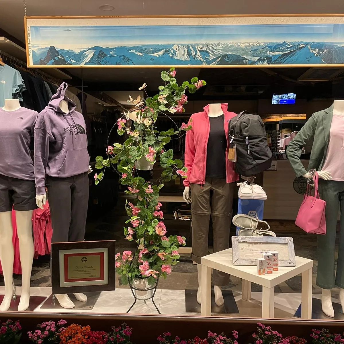 Escaparate de la tienda