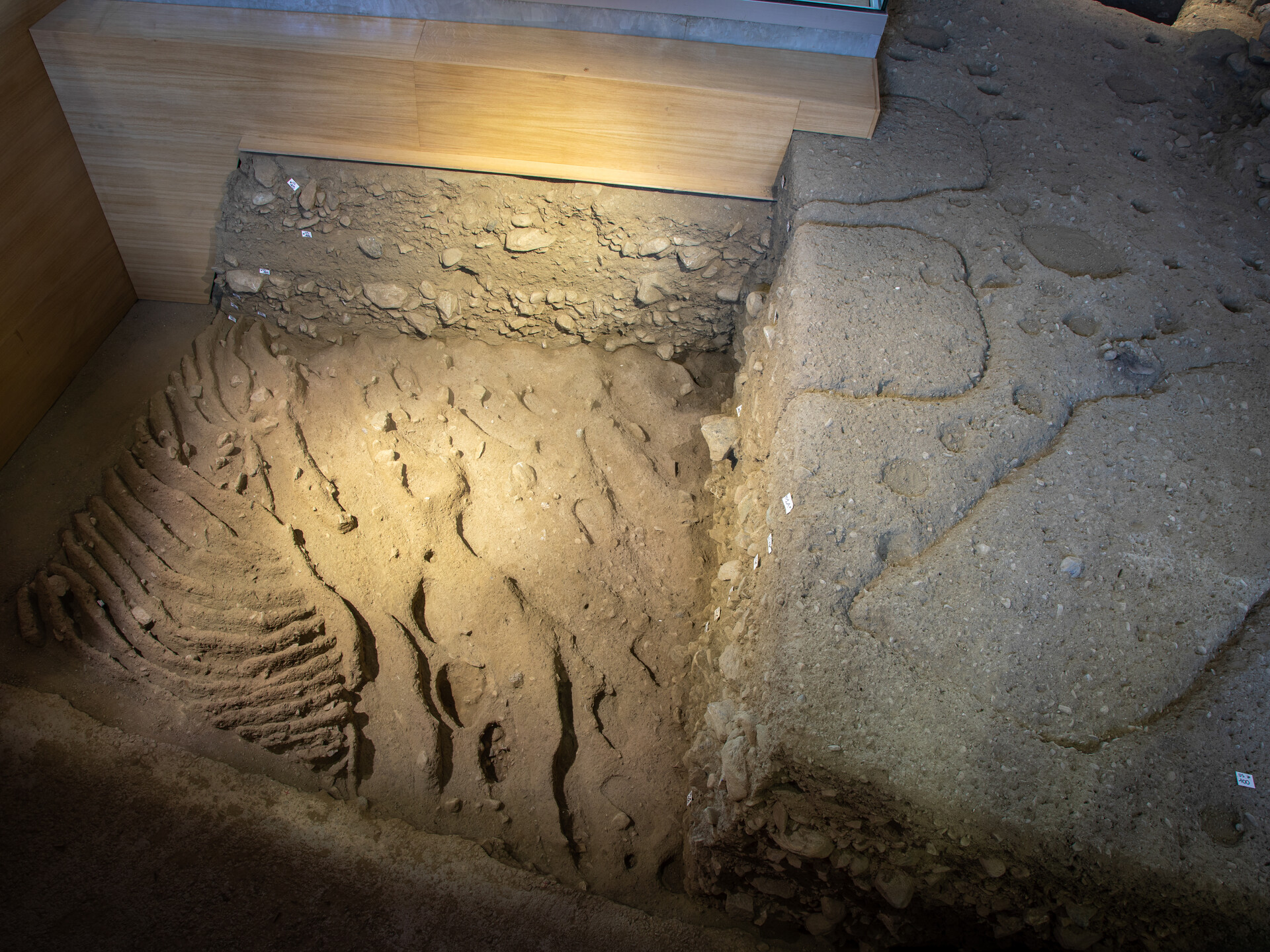 Area Megalitica