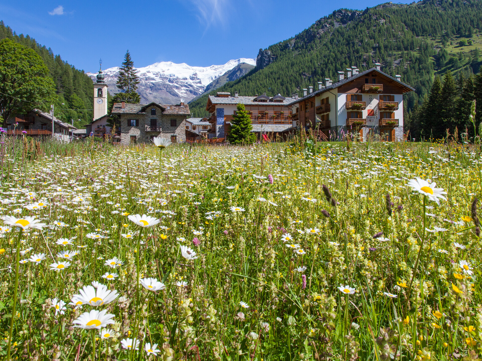 Vista del pueblo de Gressoney-La-Trinité