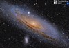 M31