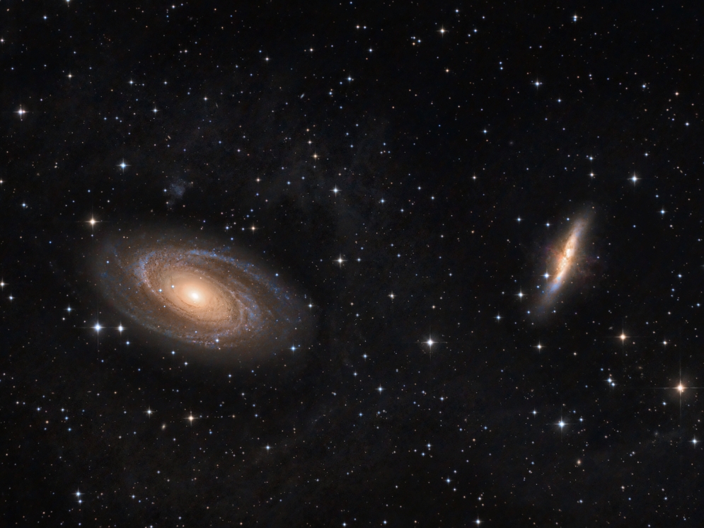 M81