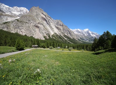 El Mont Blanc, el Diente del Gigante y las Grandes Jorasses vistos desde la carretera de Val Veny