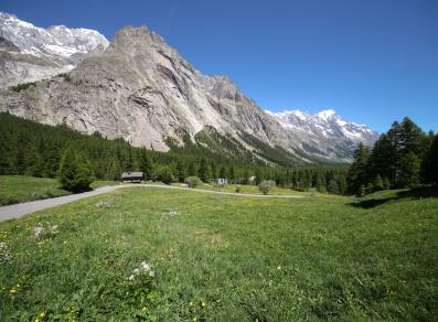 Le Mont Blanc, la Dent du Géant et les Grandes Jorasses vus depuis la route du Val Veny