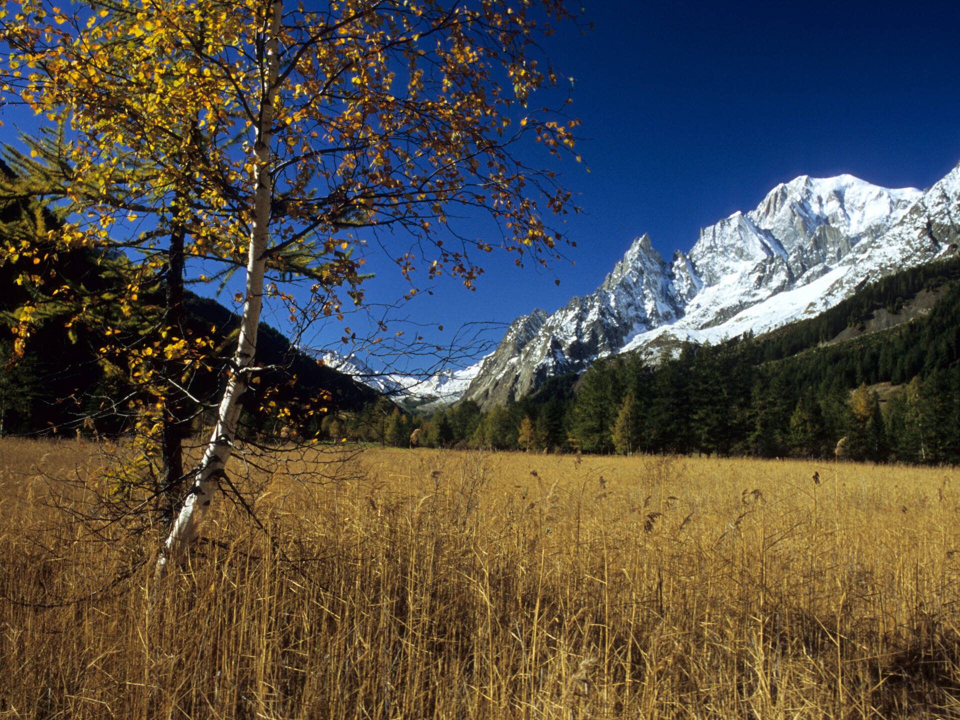 Val Ferret in autunno