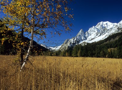 Val Ferret en otoño