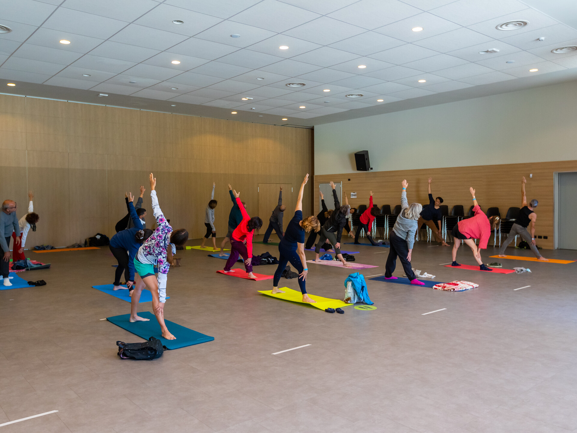 Hatha yoga