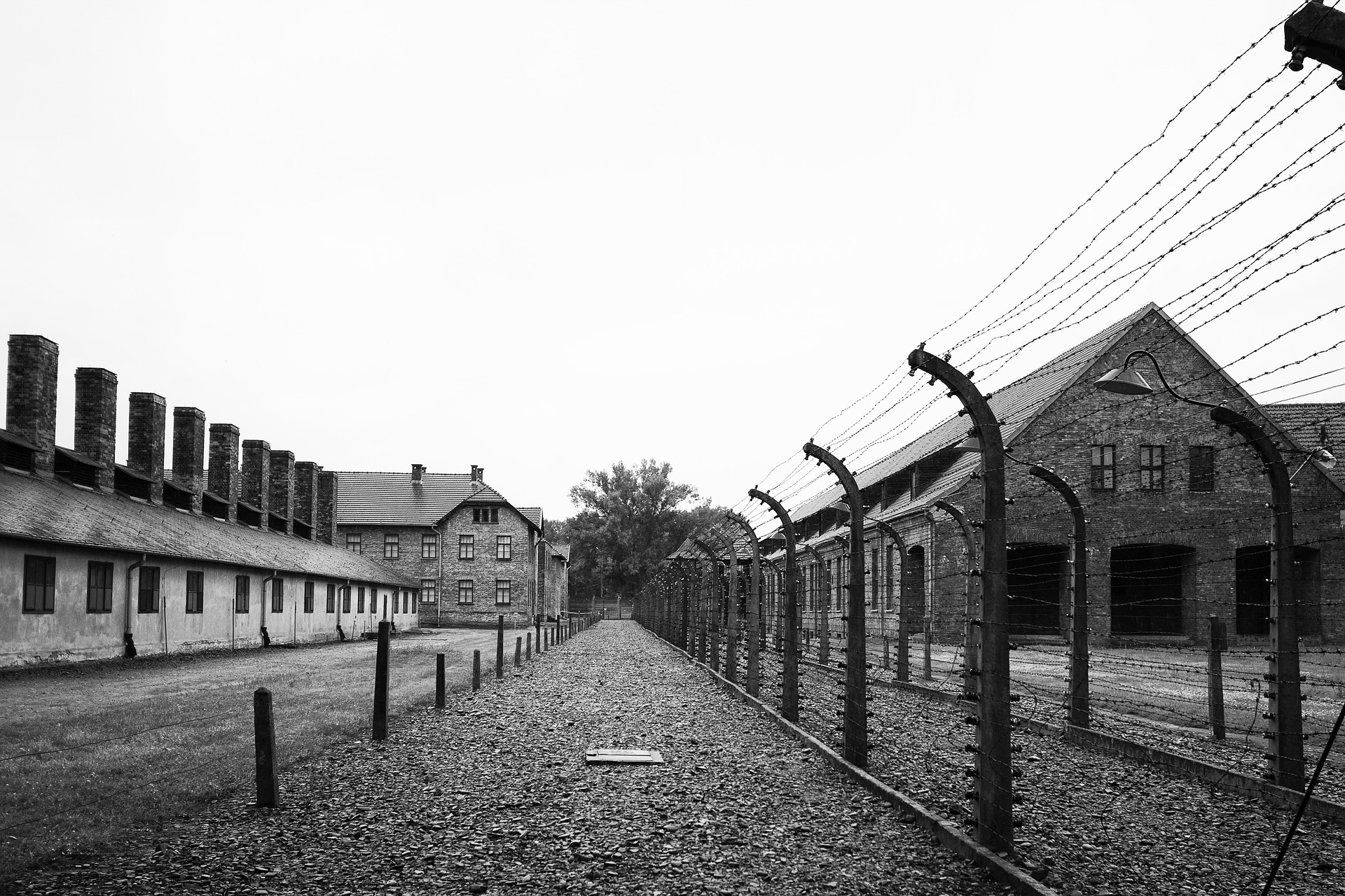 Primo Levi