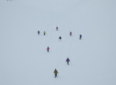 Guide Trek Alps