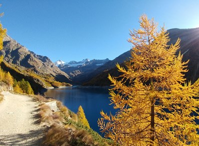 Sentiero lungo il lago di Place Moulin in autunno