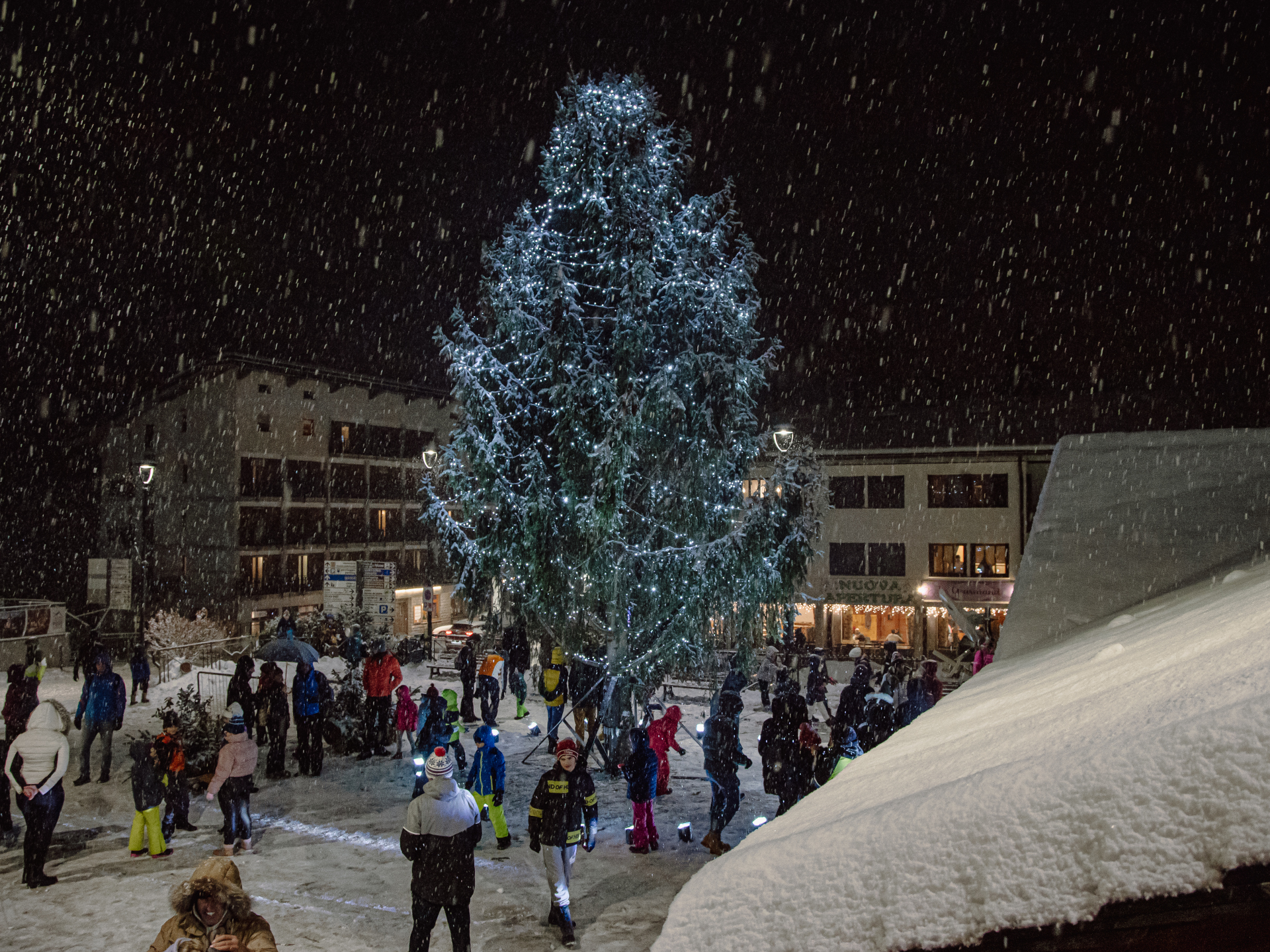 Accensione dell'albero