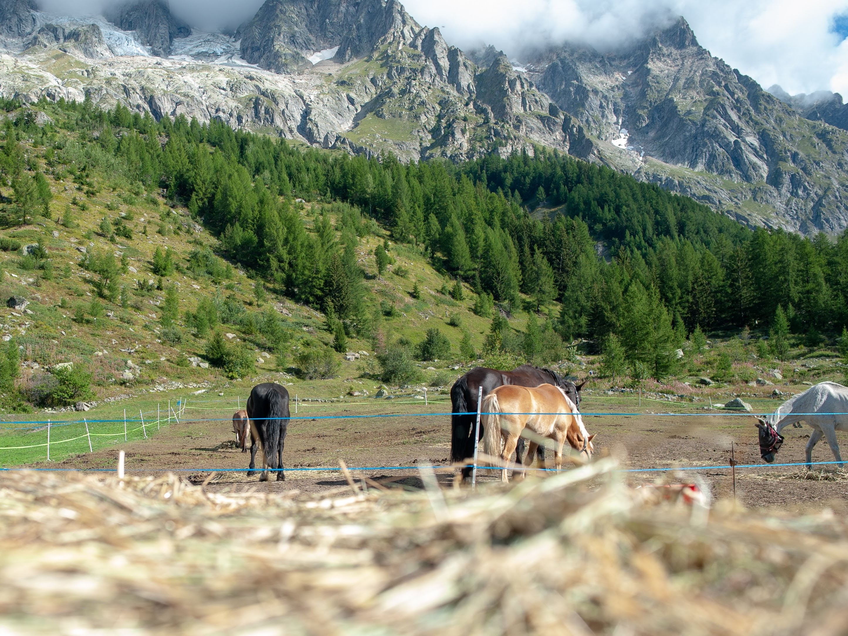  CheVal d'Aoste Mont Blanc