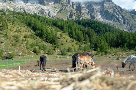  CheVal d'Aoste Mont Blanc