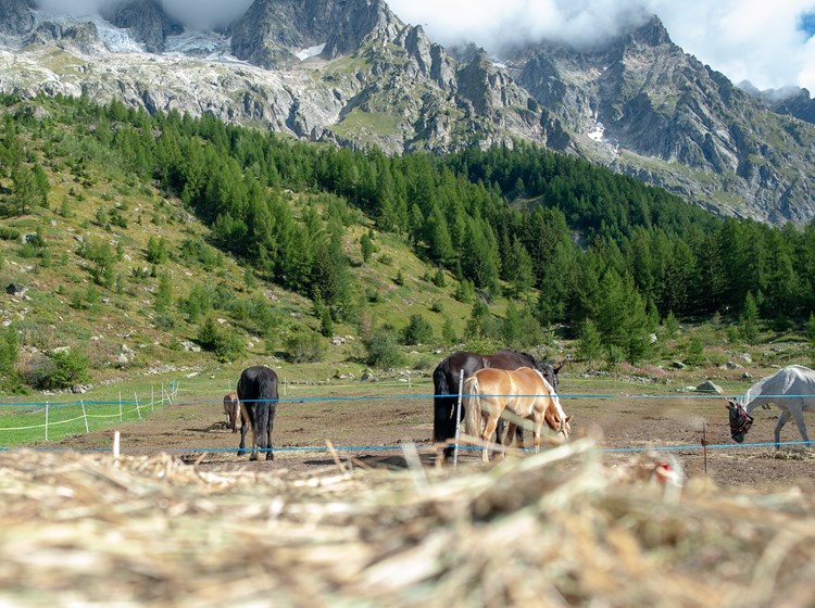  CheVal d'Aoste Mont Blanc