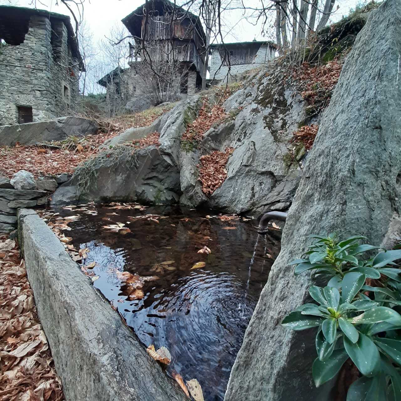Fontana 