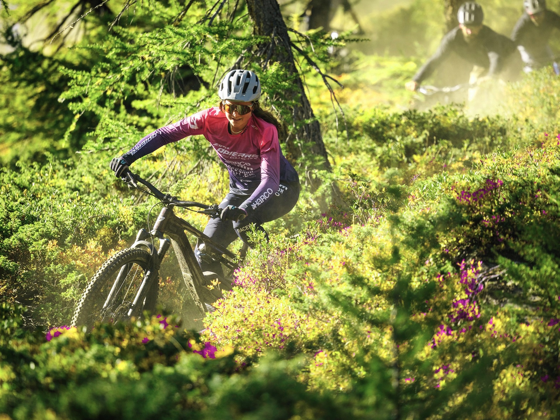 Bike Park La Thuile