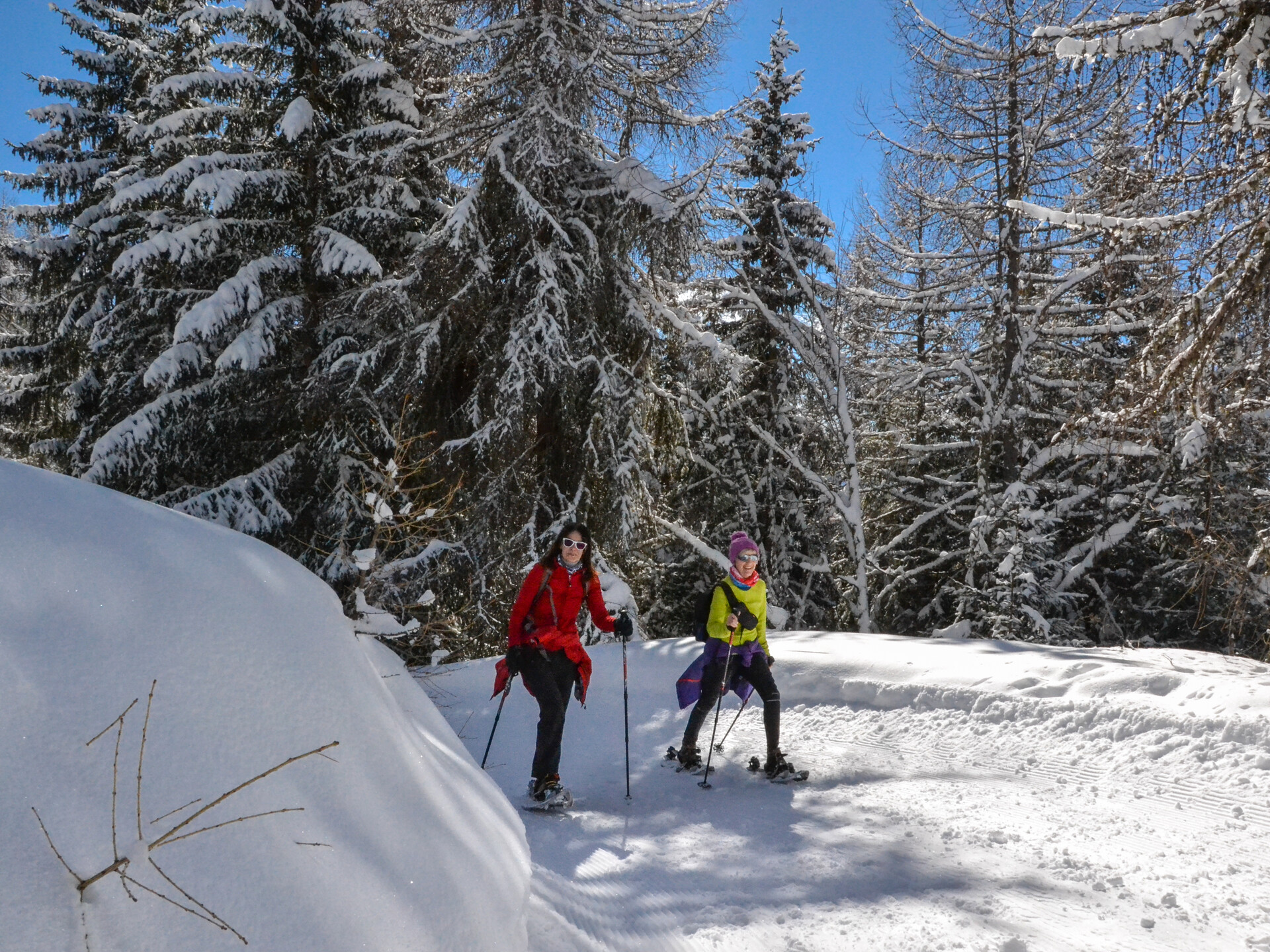 Con raquetas de nieve en el bosque