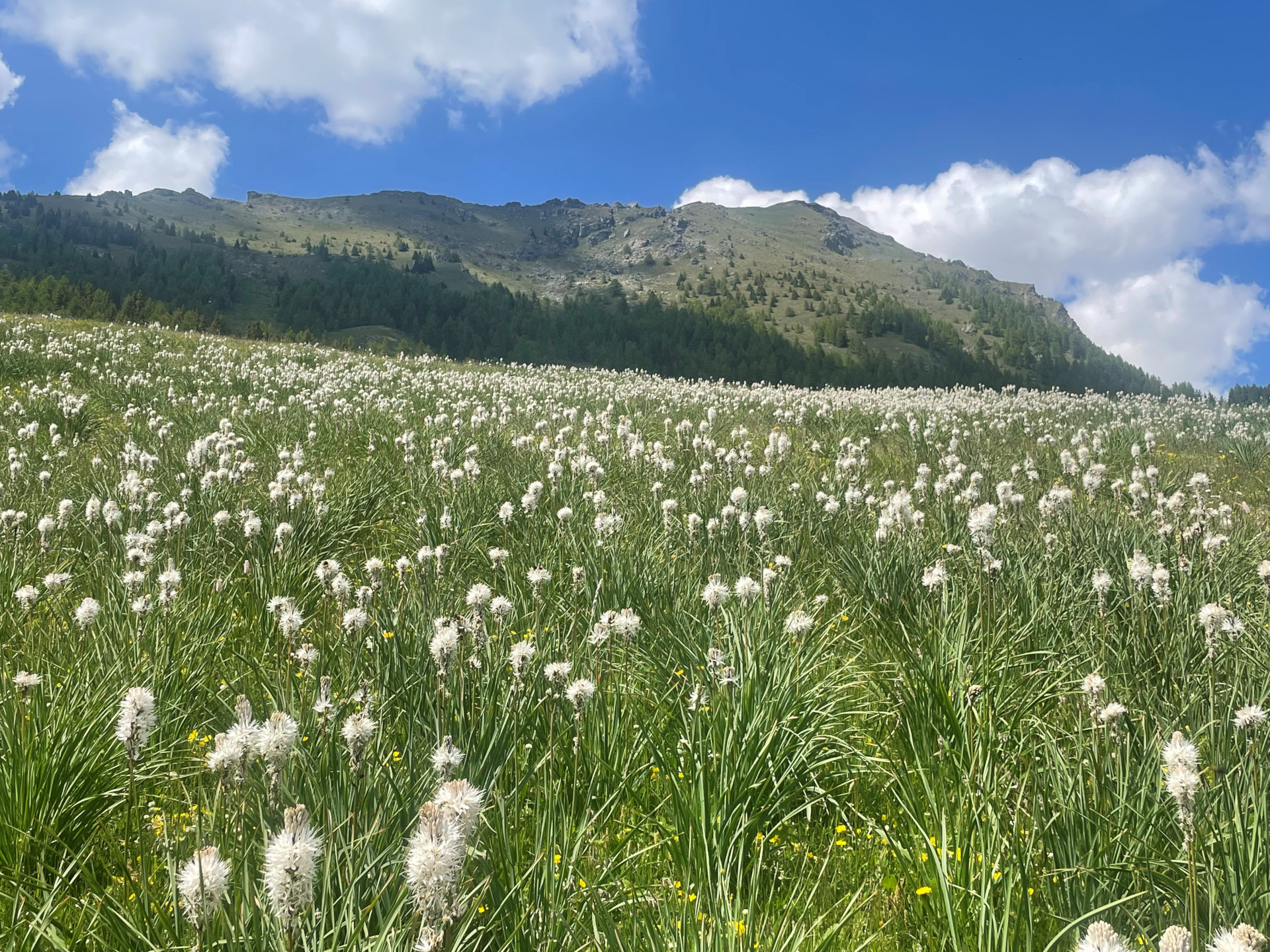 Mont Méabé