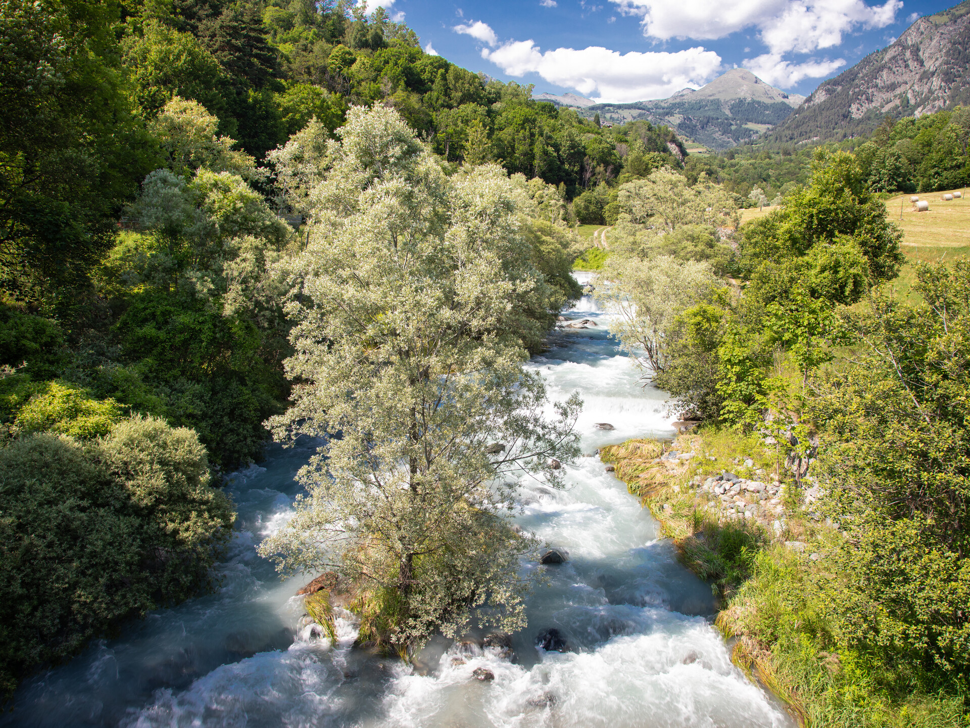 Torrent Evançon a Ruvère