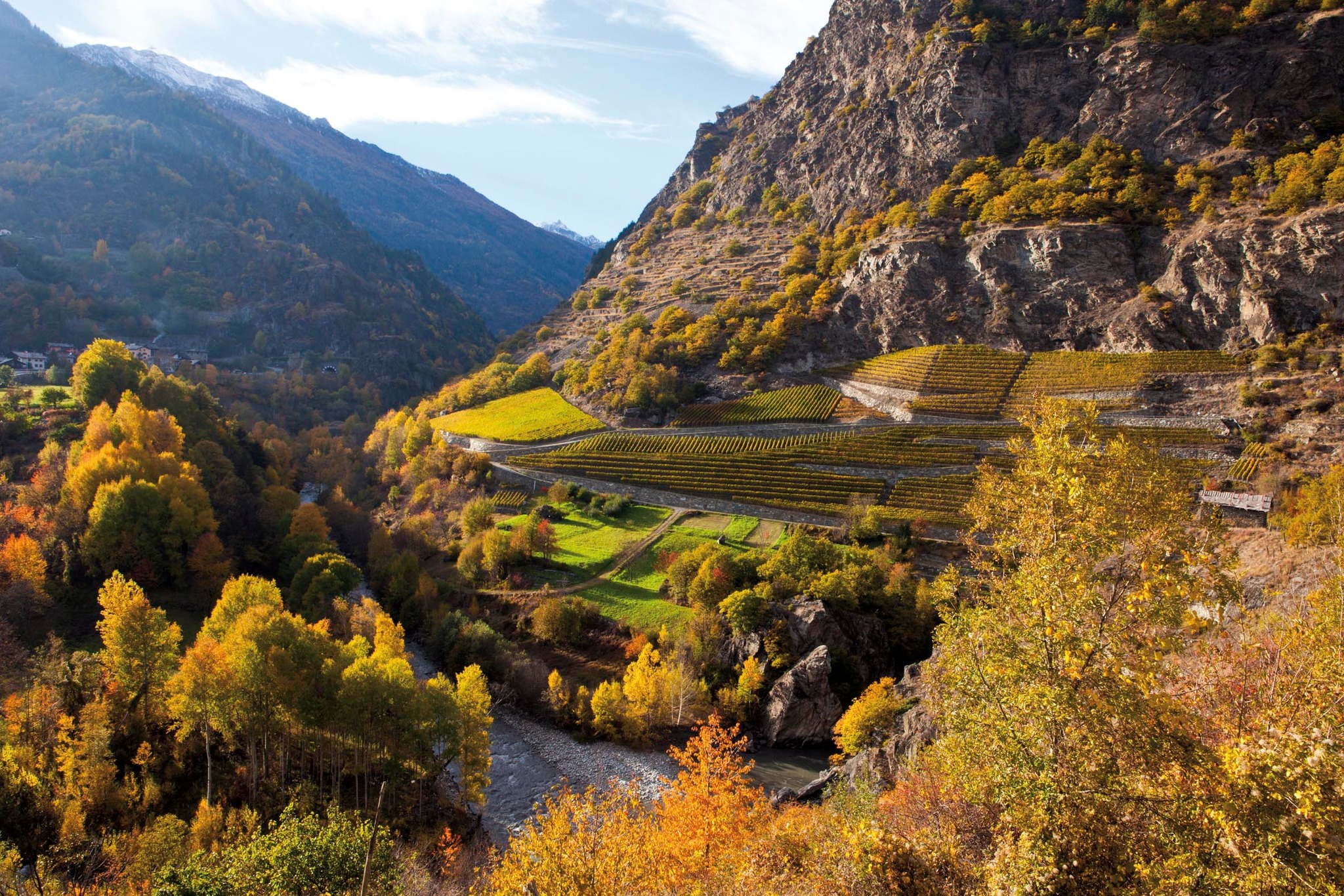 Die Weinberge im Herbst