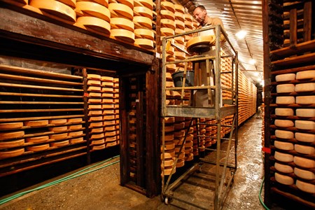 Fontina maturing room
