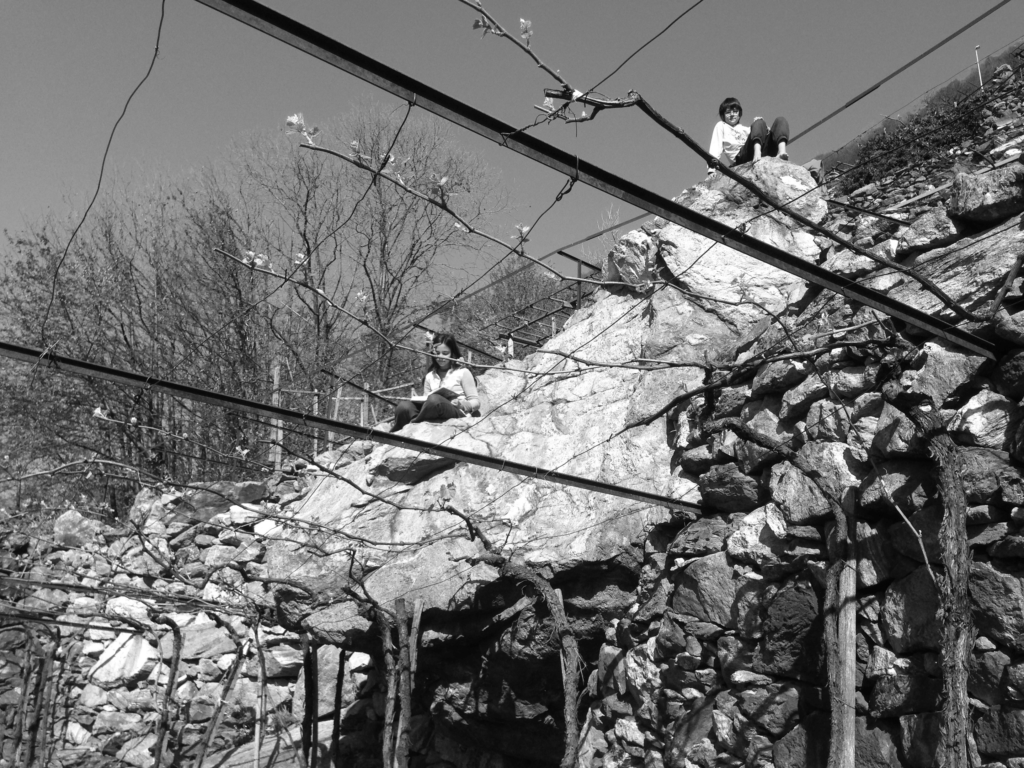Bambini in vigna