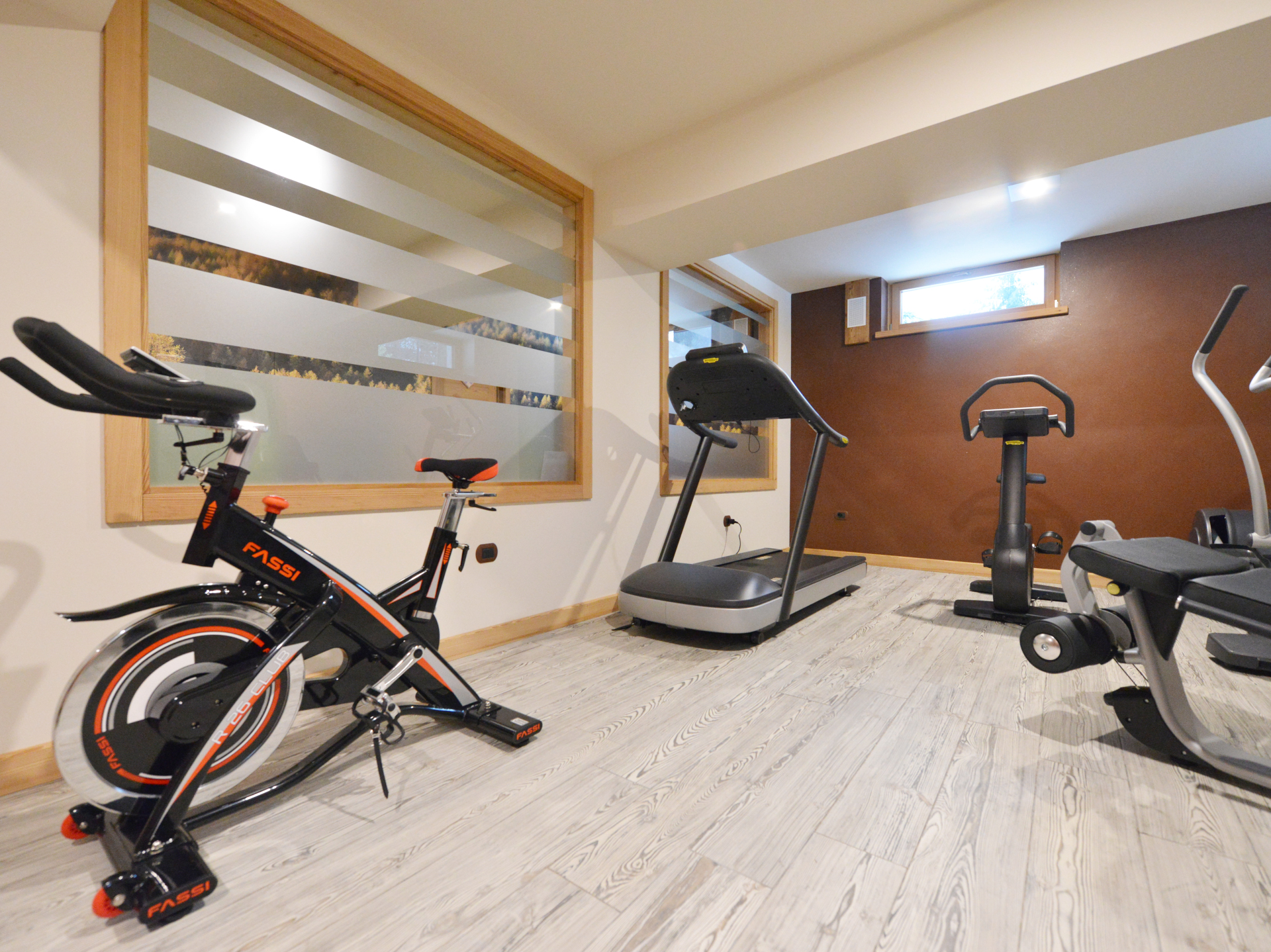 Palestra dell'hotel Des Roses