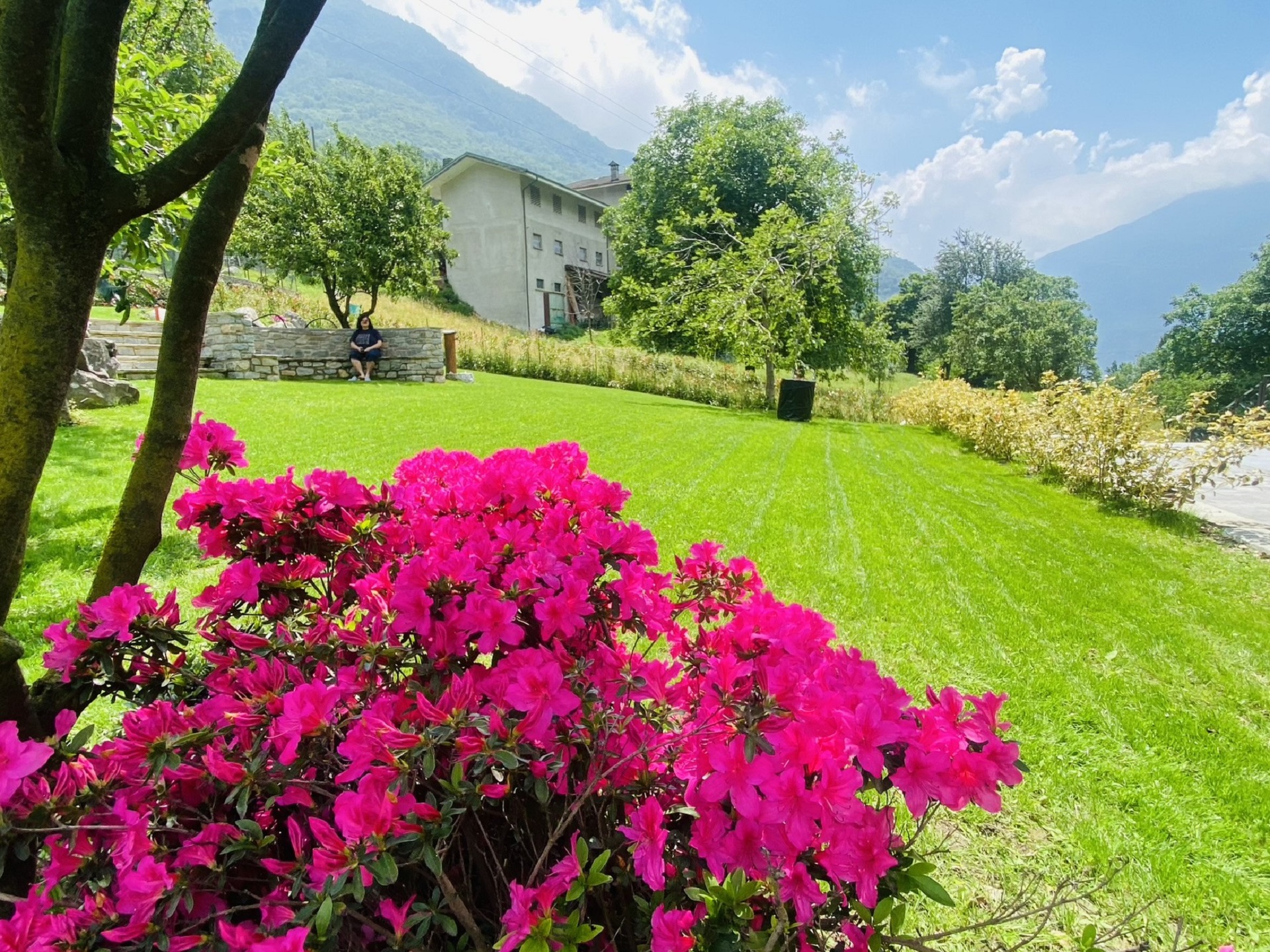 garden