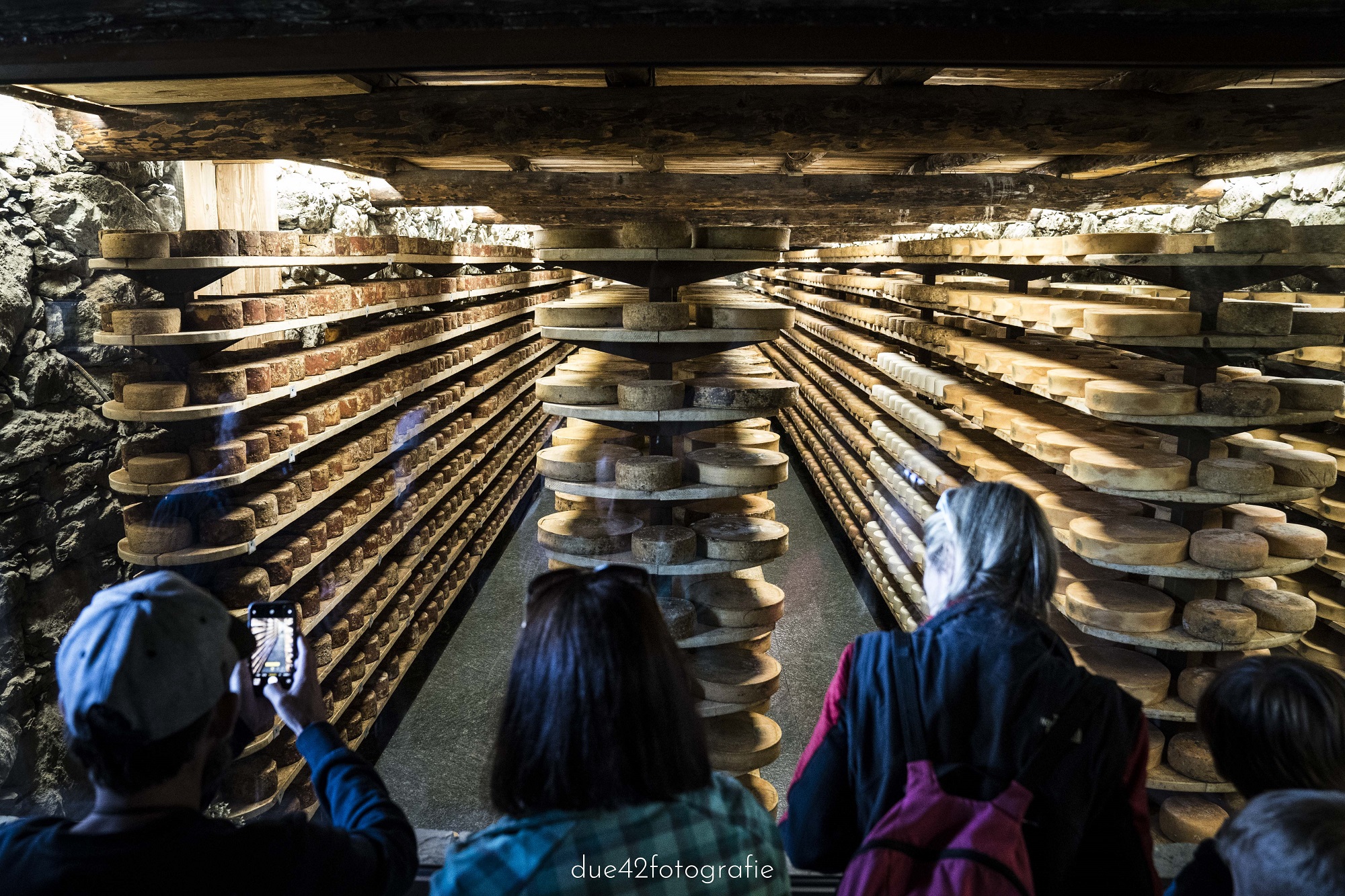The cheese maturing cellar