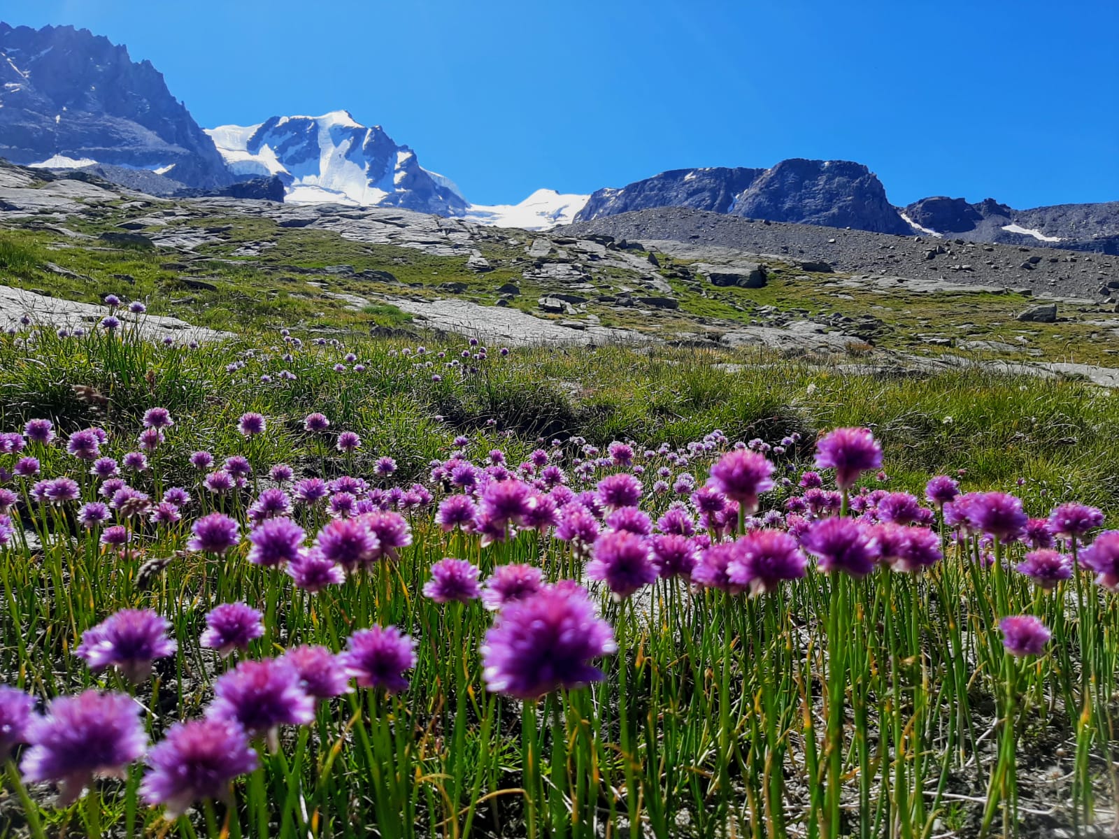 Parco Nazionale Gran Paradiso