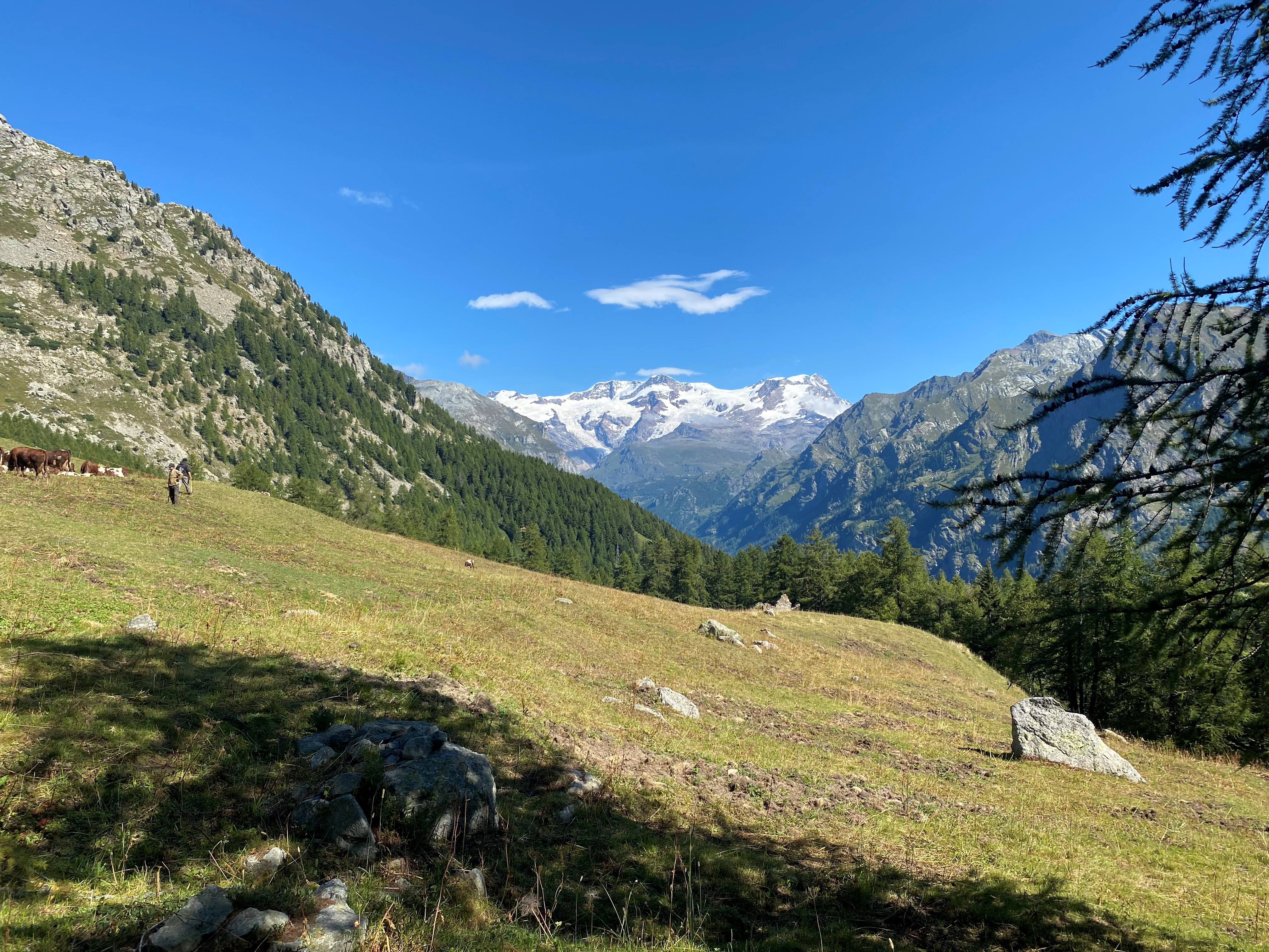 Blick auf das Monte Rosa