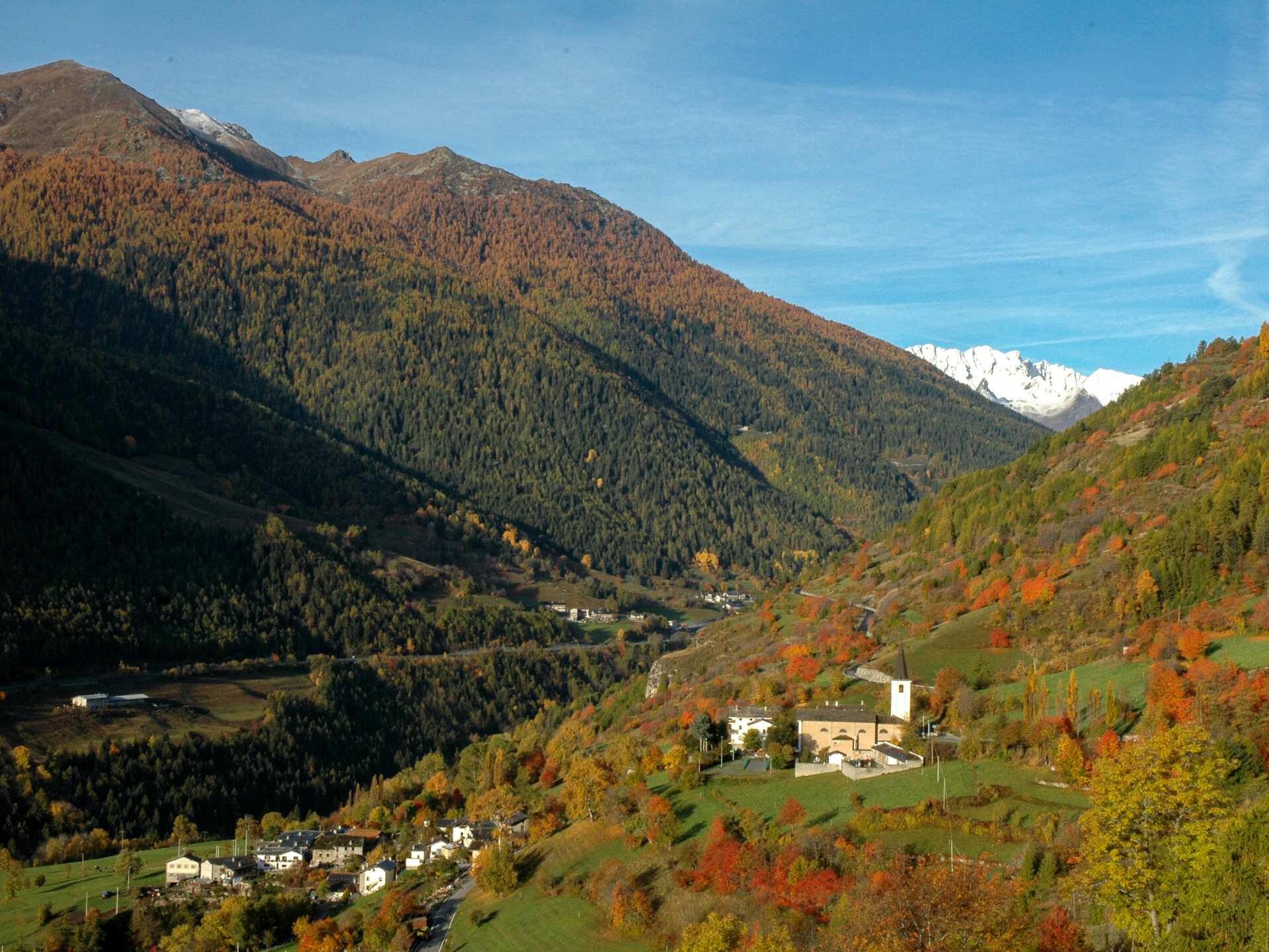 Allein en automne