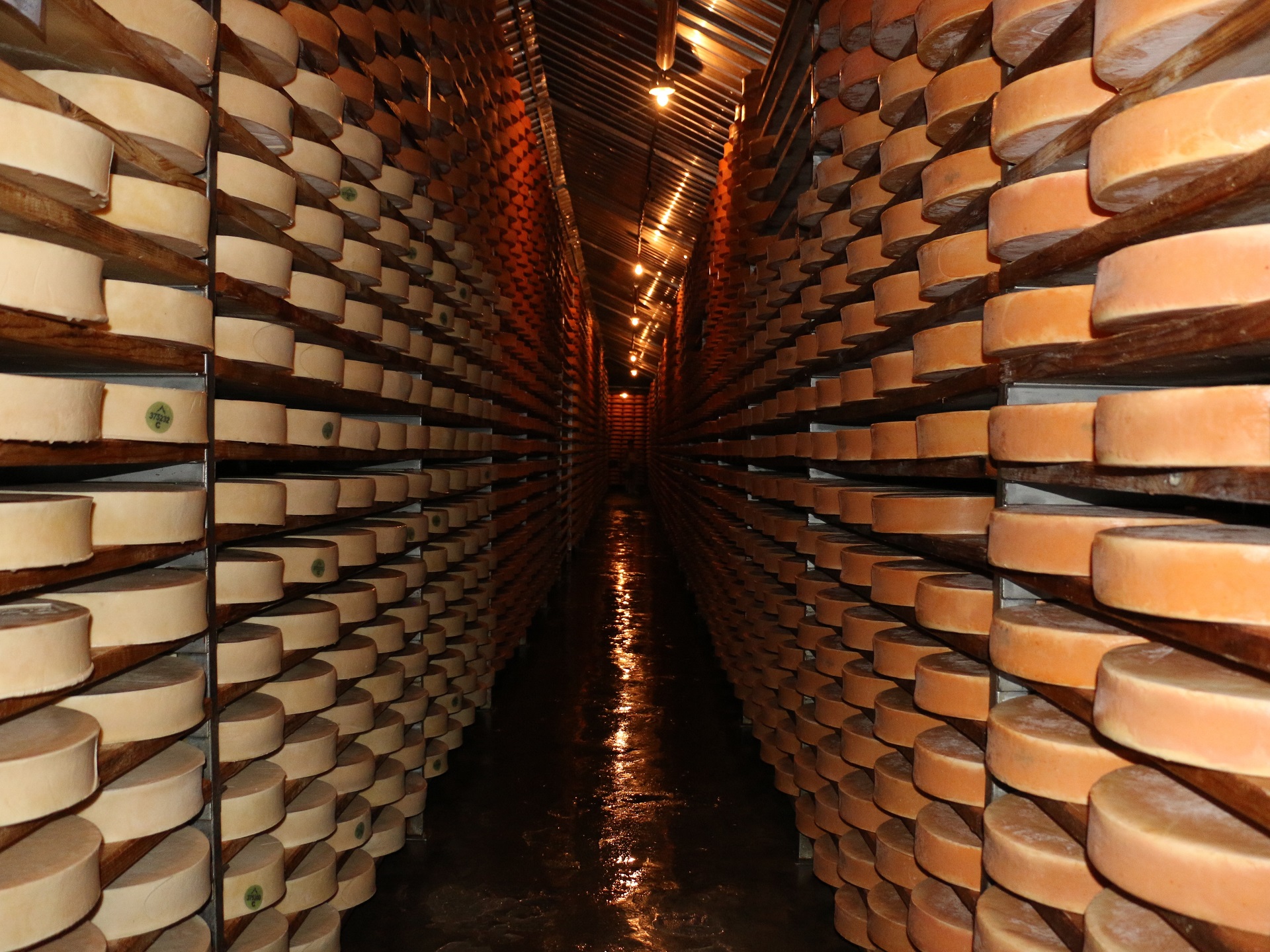 Fontina warehouse
