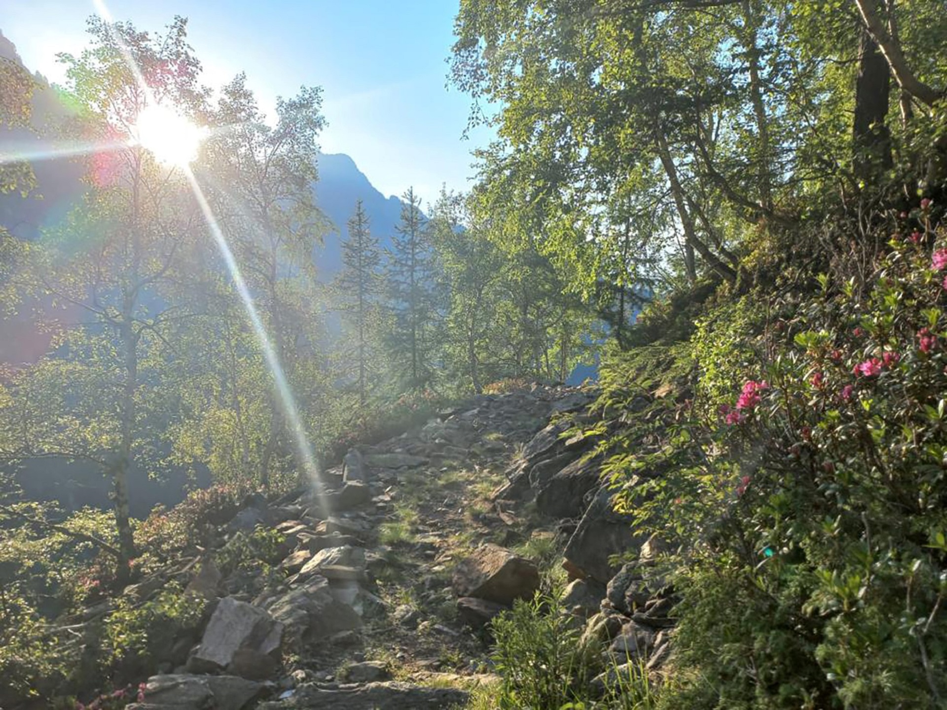Rifugio Bonze
