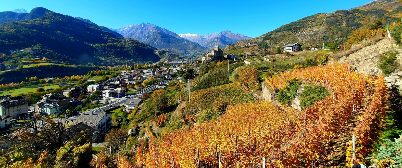 Vue sur les vignobles et le château de Saint-Pierre