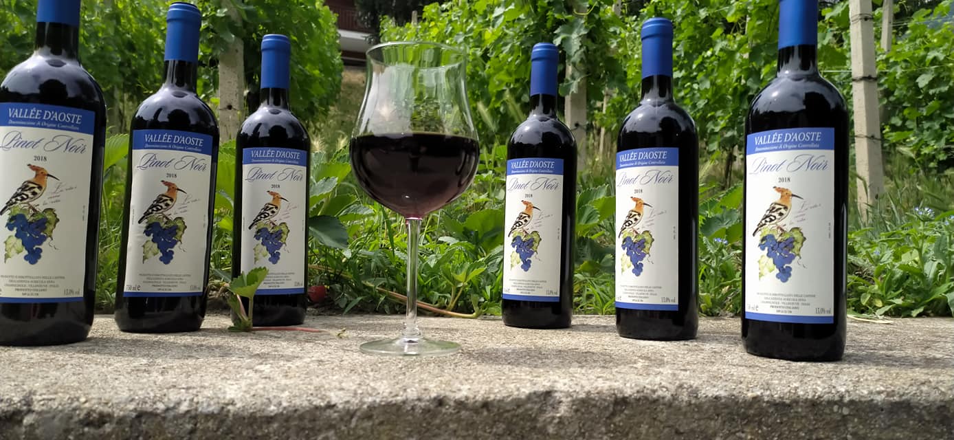 Bottiglie di Pinot Noir