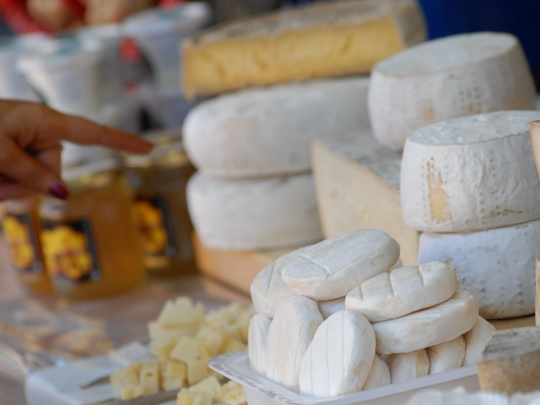 Mercato della terra