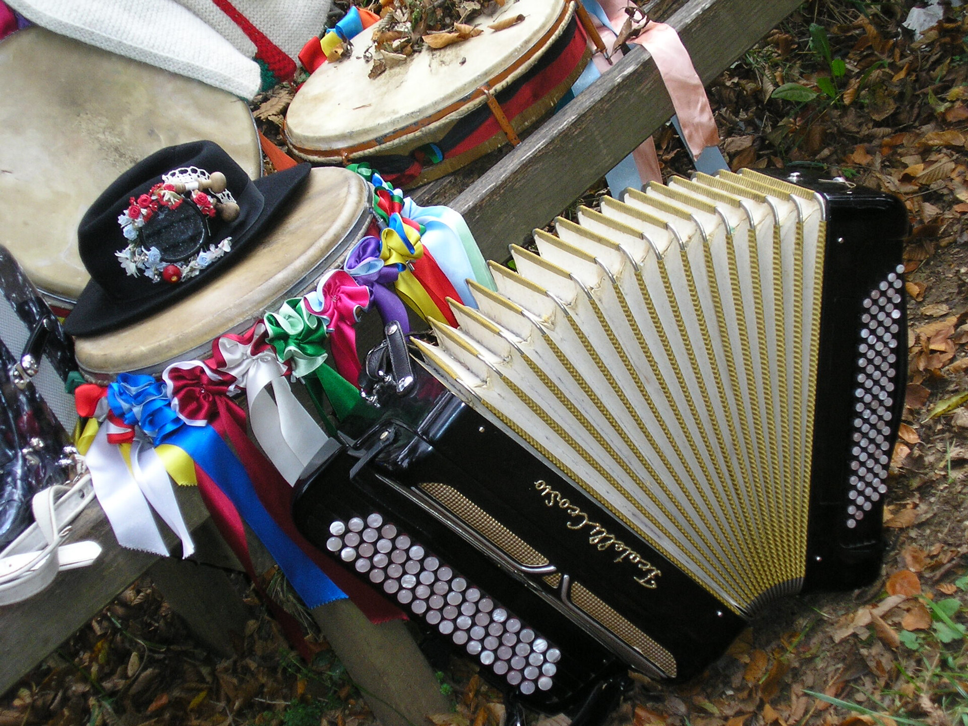 fisarmonica